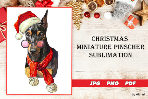 Christmas Miniature Pinscher Sublimation Illustrations