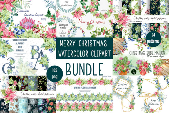 Christmas Set Botanical Illustrations for Content Publishing