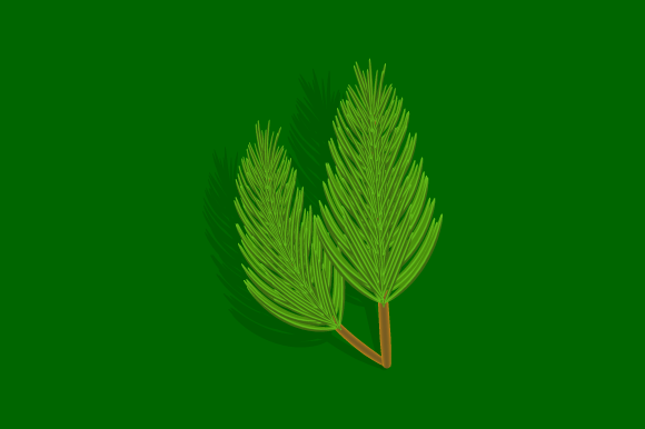 Green Christmas Tree Spruce Branch Illustration